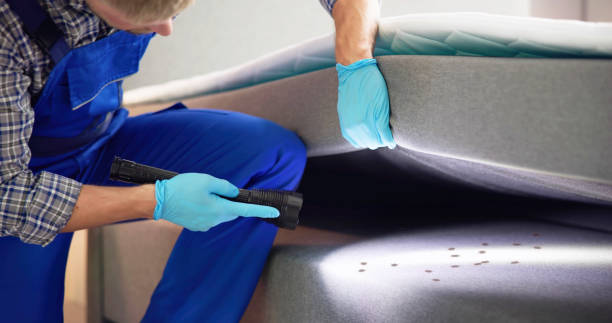 Best Flea Control Services  in Bangor, WI