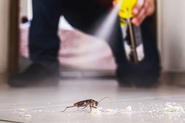 Best Best Pest Control Companies  in Bangor, WI